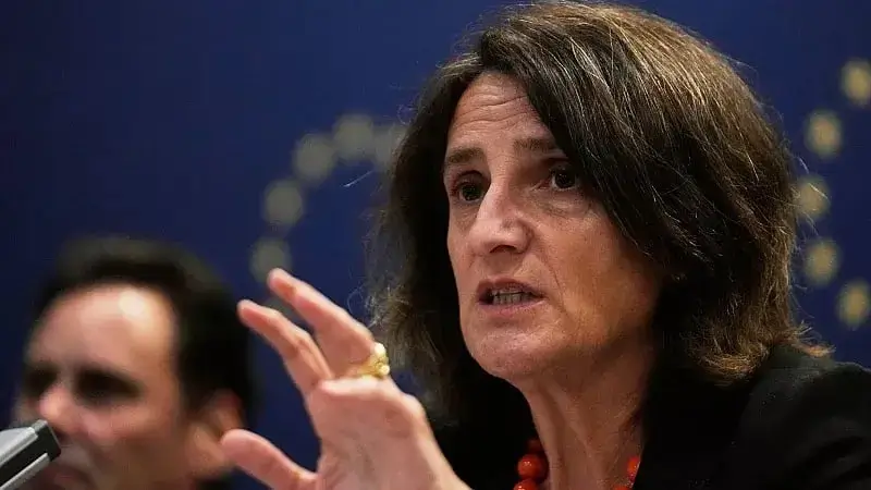 Juru Bicara Komisi Eropa, Paula Pinho (parstoday)