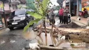 Warga Ciengang Gegerbitung Tanam Pohon Pisang di Lubang Jalan