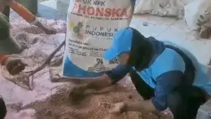 Pupuk NPK